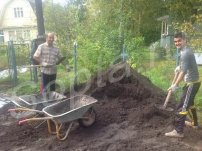 ������ �����  ����������� �� ��� ������� 