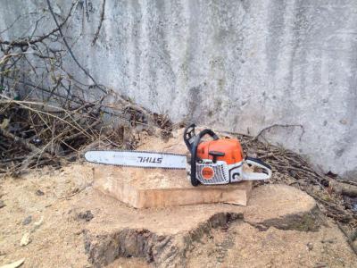 ���� �������� �������� ������� ��������� ��������