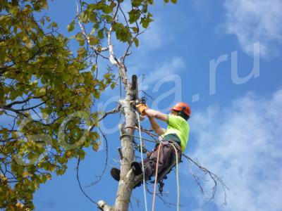 ���� �������� �������� ������� ��������� �������� 