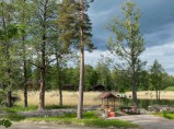 Яркое / Санкт-Петербург