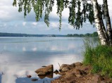 Полуостров 50 Га в живописном месте на р. Ёлнать в Ивановской обл. / Санкт-Петербург