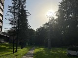 Гостиница «Репинская» / Санкт-Петербург