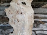 Слэбы из дуба, бука, ясеня, тополя, вербы, карагача. / Санкт-Петербург