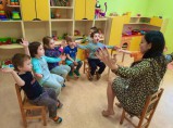 Частный сад с ясельной группой КоалаМама (от 1,2 лет) / Санкт-Петербург